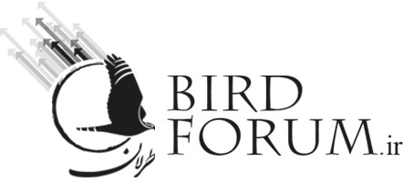 تالار گفتگو پر‌نده‌شناسی و پرنده‌نگری